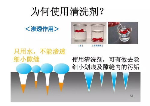 食品工廠清洗的重要性與電子產(chǎn)品互聯(lián)網(wǎng)銷(xiāo)售的協(xié)同發(fā)展